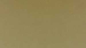 Bronze Lite