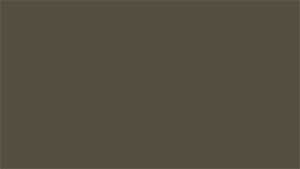 Medium Bronze